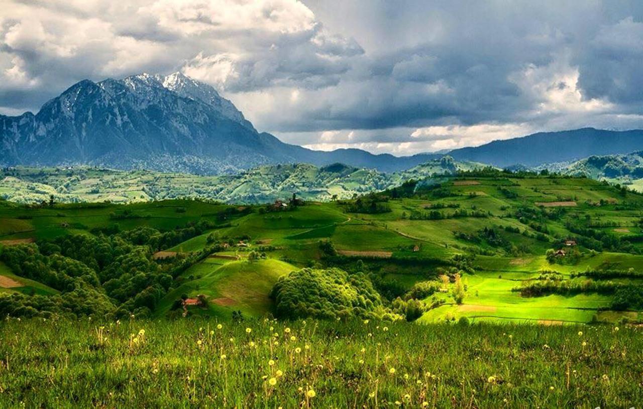 Flori De Mar Poiana Mărului Exterior foto