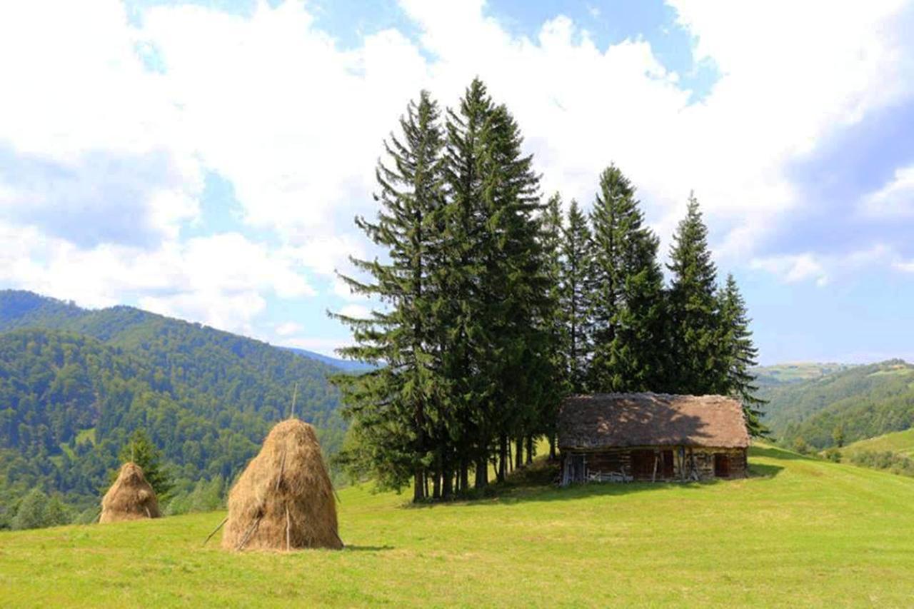 Flori De Mar Poiana Mărului Exterior foto